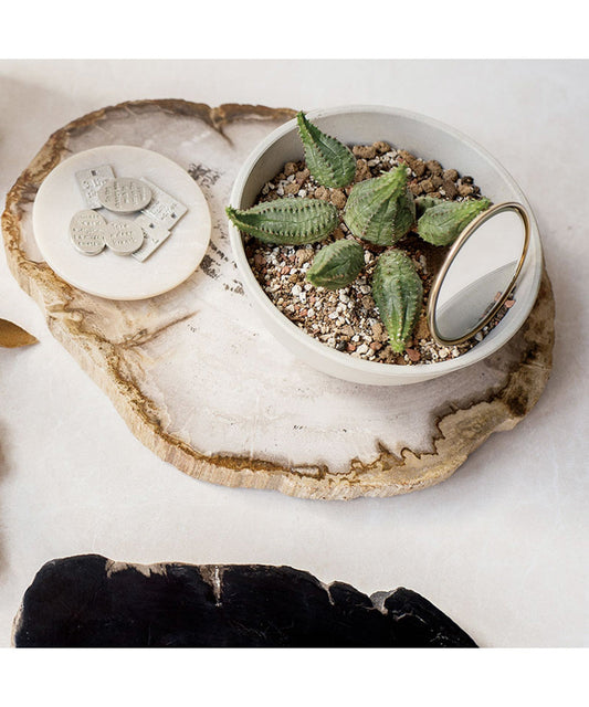 【amabro / アマブロ】WOOD PLATE 20 ウッドプレート 20